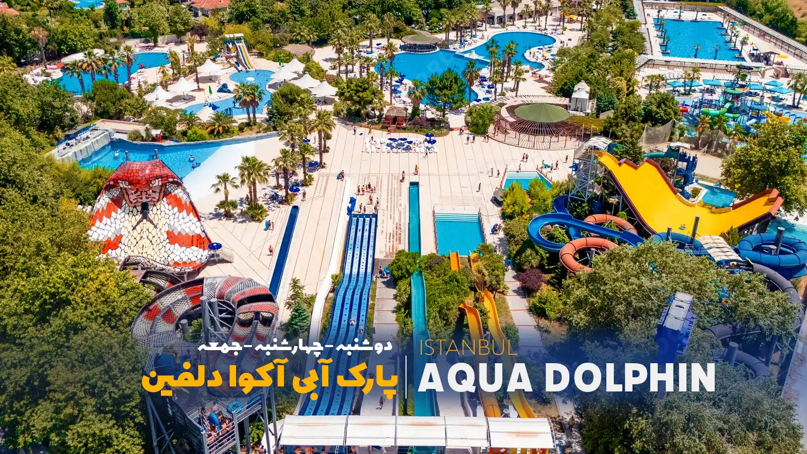 تور پارک آبی دلفین استانبول (Aqua Club Dolphin)
